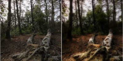 El Efecto Orton – Facil con photoshop
