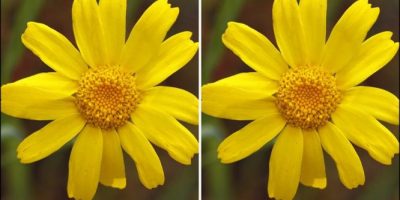 Como ajustar el tamaño de una foto para imprimir – Fácil con Photoshop