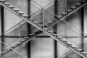 Lee más sobre el artículo Como usar las líneas. Composición fotográfica
