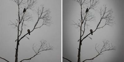 Crear efecto viñeteado facil con photoshop